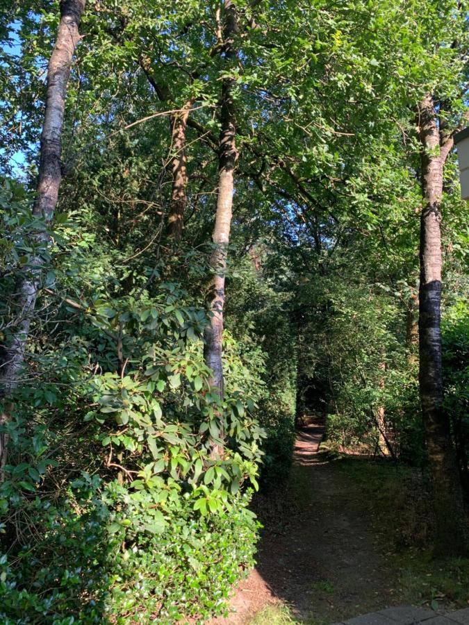 Bonte Specht: Tot Rust Komen In De Natuur! Otterlo Luaran gambar
