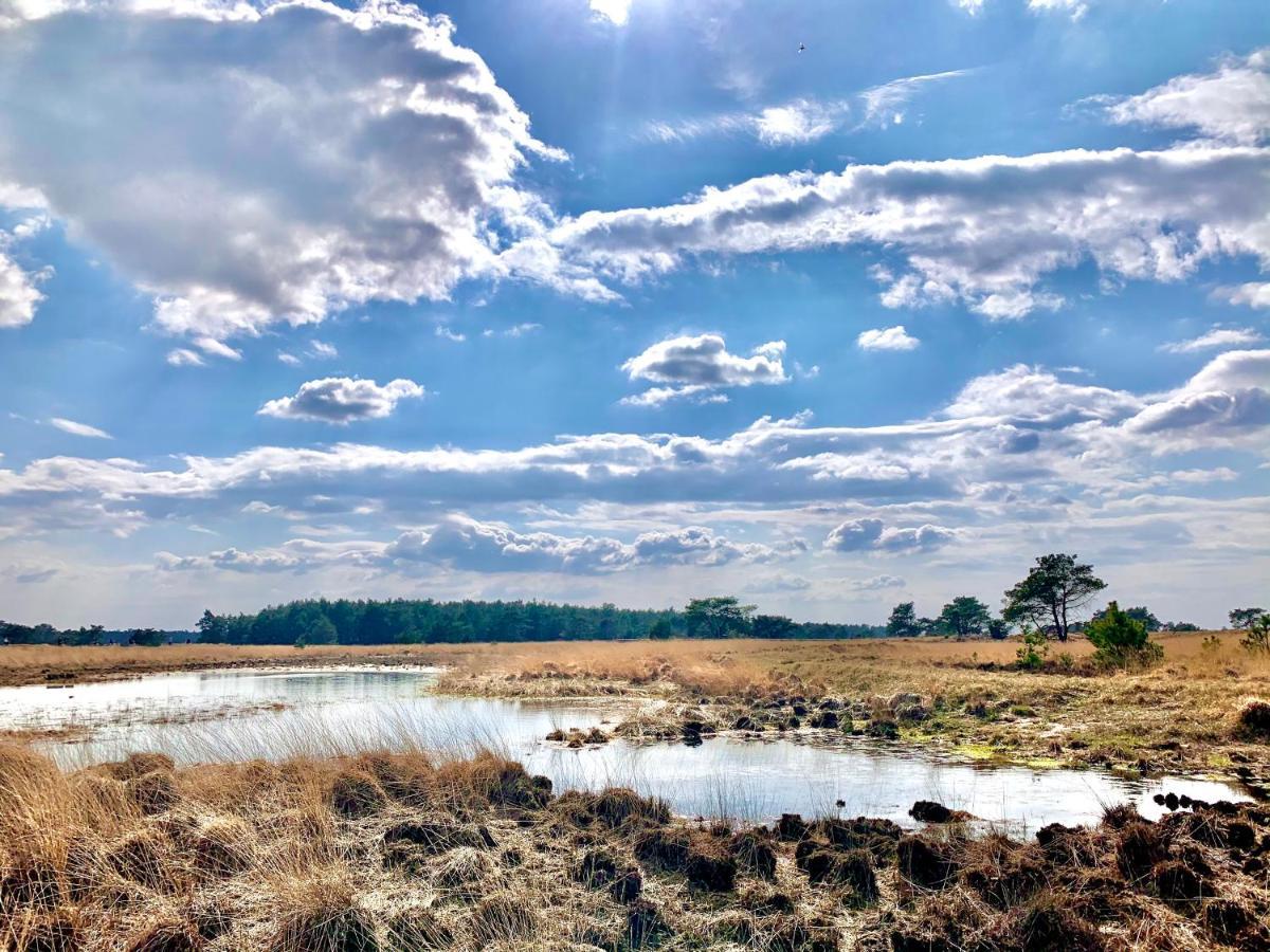 Bonte Specht: Tot Rust Komen In De Natuur! Otterlo Luaran gambar